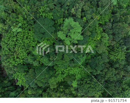 Aerial view of beautiful tropical forest mountain landscape 91571754