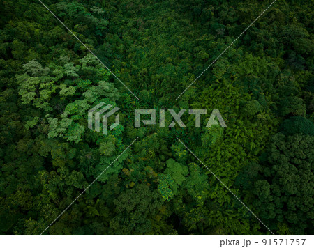 Aerial view of beautiful tropical forest mountain landscape 91571757