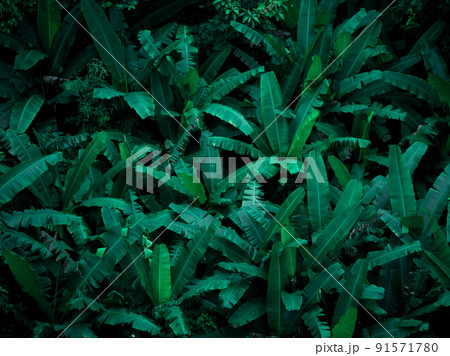 Aerial view of beautiful tropical forest mountain landscape Aerial view of beautiful tropical forest mountain landscape 91571780