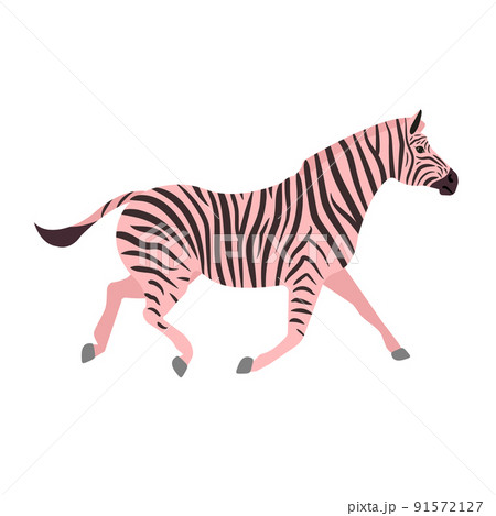 Vector hand drawn flat pink running zebra 91572127