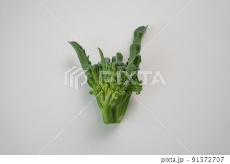 茎ブロッコリーの頂花蕾 茎ブロッコリーの頂花蕾 91572707