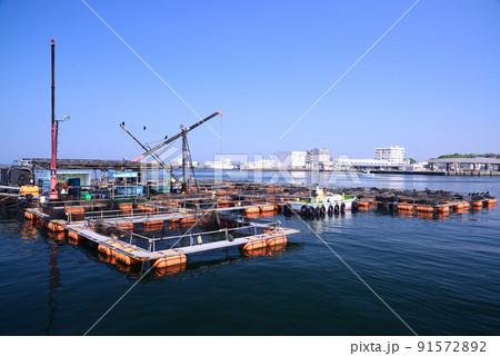 三浦半島最南端の城ヶ島 91572892