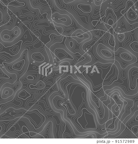 Grey contours vector topography. Geographic mountain topography vector illustration. Topographic pattern texture. Map on land vector terrain. Elevation graphic contour height lines. Topographic map 91572989