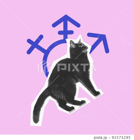 Contemporary art collage. Conceptual image with black cat and gender symbols. Freedom to choose personality and sex Contemporary art collage. Conceptual image with black cat and gender symbols. Freedom to choose personality and sex 91573295
