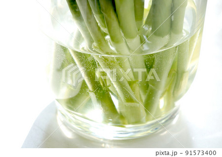 The stems of flowers stand in a vase of water. 91573400