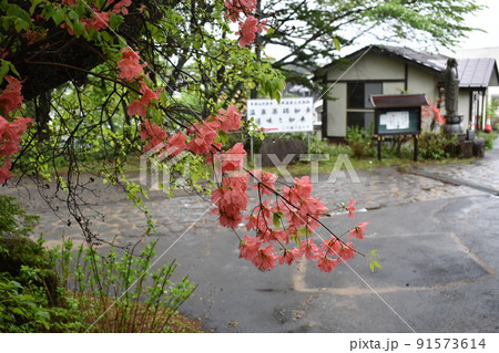 群馬県 草津温泉の梅雨の風景 群馬県 草津温泉の梅雨の風景 91573614