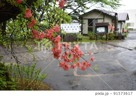 群馬県 草津温泉の梅雨の風景 群馬県 草津温泉の梅雨の風景 91573617