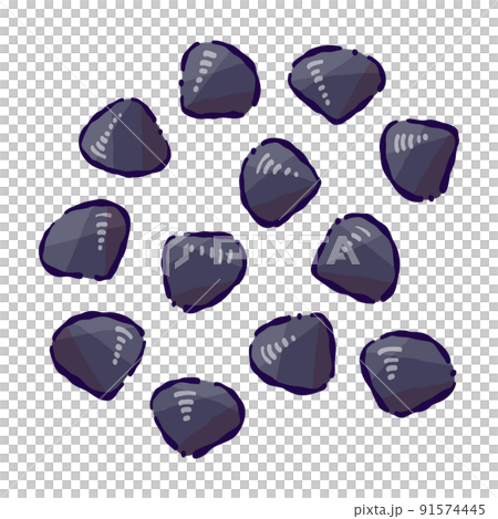 貝類蛤蜊(封閉)軟觸矢量圖 貝類蛤蜊(封閉)軟觸矢量圖 91574445