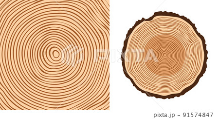 Round tree trunk cut, sawn pine or oak slice. Saw cut timber, wood. Brown wooden texture with tree rings. Hand drawn sketch. Vector illustration 91574847