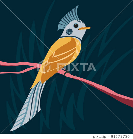 Vector illustration of fantastic colorful unusual bird Vector illustration of fantastic colorful unusual bird 91575756