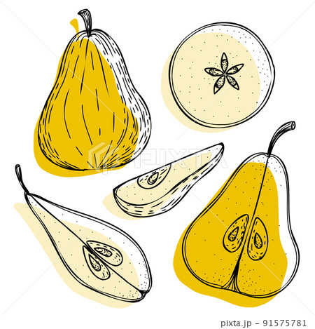 Vector pear set: pears, slice, half, whole, and leaves, seeds. Yellow abstract hand-drawn Vector pear set: pears, slice, half, whole, and leaves, seeds. Yellow abstract hand-drawn 91575781