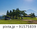 （静岡県）真夏の田貫湖畔キャンプ場から眺める富士山 91575839