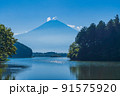 （静岡県）真夏の田貫湖湖畔から眺める富士山 91575920