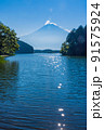 （静岡県）真夏の田貫湖湖畔から眺める富士山 91575924