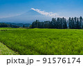 （静岡県）梅雨明け宣言された富士宮の水田から望む富士山 91576174