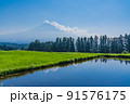 （静岡県）梅雨明け宣言された富士宮の水田から望む富士山 91576175