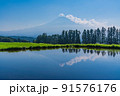 （静岡県）梅雨明け宣言された富士宮の水田から望む富士山 91576176