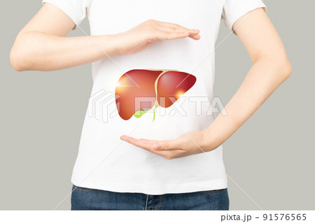 Healthy human liver and gallbladder anatomy between two palms. Protecting against liver disease and organ donation concept. Healthy human liver and gallbladder anatomy between two palms. Protecting against liver disease and organ donation concept. 91576565