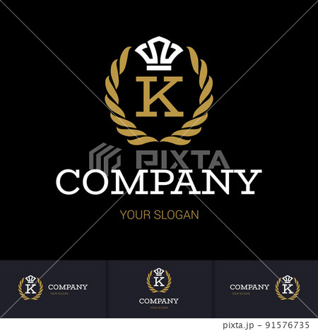 Logo Template 91576735