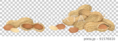 Hand-painted peanuts Hand-painted peanuts 91576810