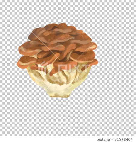 Autumn taste Maitake mushroom Autumn taste Maitake mushroom 91578404