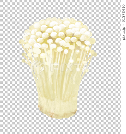 Autumn taste Enoki 91578410