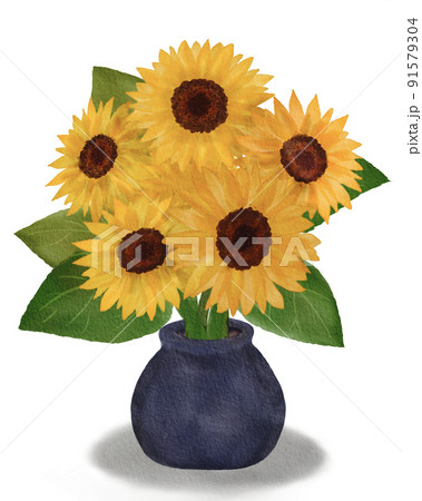 Sunflower Flowers In A Vase - Stock Illustration [91579304] - Pixta