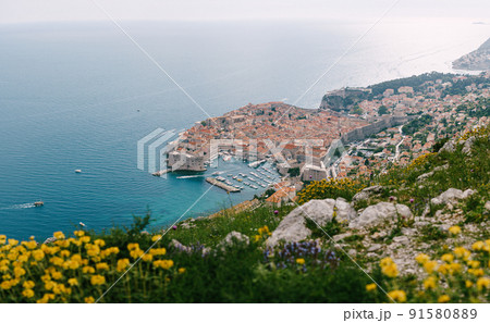 Aerial top view on the old city of Dubrovnik, from the observation deck on the mountain above the city. Film location. The view of the city is based on the Royal Harbor. 91580889