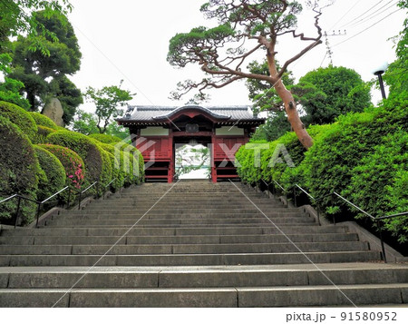 護国寺 東京都千代田区 護国寺 東京都千代田区 91580952