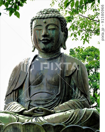 護国寺 東京都千代田区 護国寺 東京都千代田区 91580966
