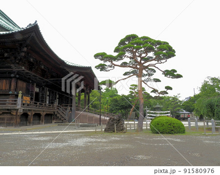 護国寺　東京都千代田区 91580976