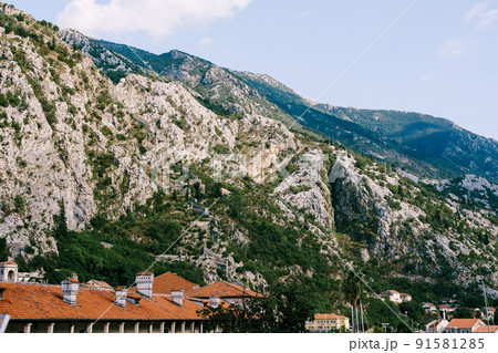 Panoramic view of old town Kotor, Montenegro Panoramic view of old town Kotor, Montenegro 91581285