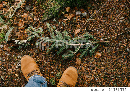 Male feet in brown shoes stand on the ground next to a coniferous branch. Close-up Male feet in brown shoes stand on the ground next to a coniferous branch. Close-up 91581535