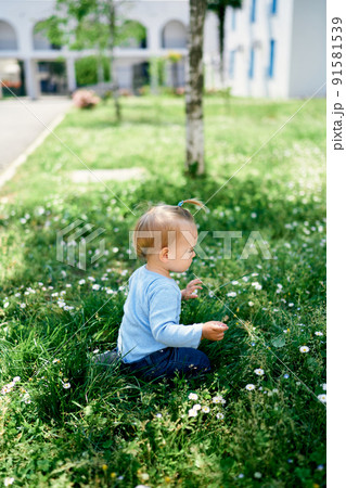 Little girl sitting in the grass among white daisies Little girl sitting in the grass among white daisies 91581539