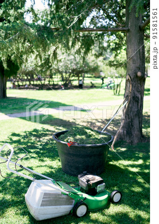 Lawn mower stands near a large bowl with cut grass in a park 91581561