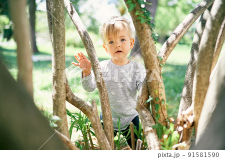 Little girl stands near ivy-covered trees in a green park 91581590