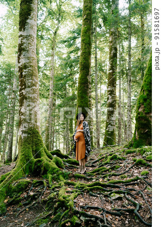 Pregnant woman stands on the roots of a moss-covered tree in a birch grove 91581697