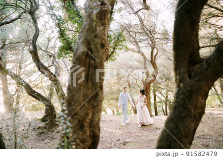 The bride and groom are walking holding hands among the trees in an olive grove The bride and groom are walking holding hands among the trees in an olive grove 91582479