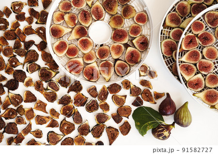 Fresh figs in a dehydrator lie next to dried figs on the table Fresh figs in a dehydrator lie next to dried figs on the table 91582727