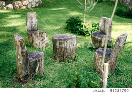 Stumps in the shape of chairs and a table stand in a green meadow 91582790