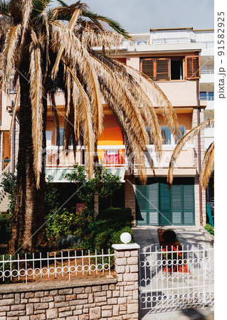 Brown leaves on a palm tree in front of a three-story building 91582925