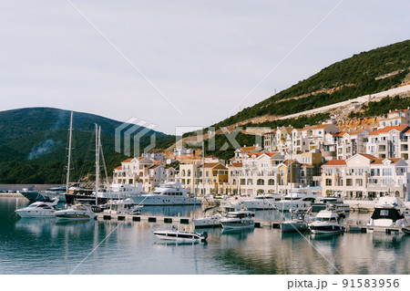 Luxury yachts are moored in a row at the Lustica Bay marina. Montenegro Luxury yachts are moored in a row at the Lustica Bay marina. Montenegro 91583956