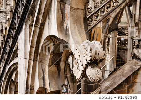 Floral decor on the arched roofs of the Duomo. Italy, Milan 91583999