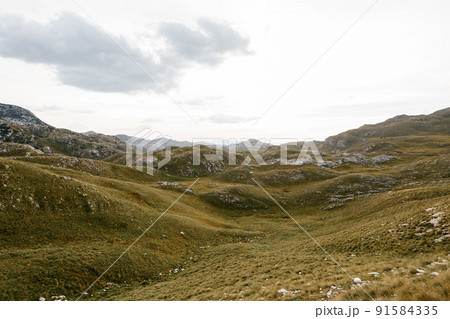 Green valley near the Sedlo pass in Durmitor National Park against the sky Green valley near the Sedlo pass in Durmitor National Park against the sky 91584335