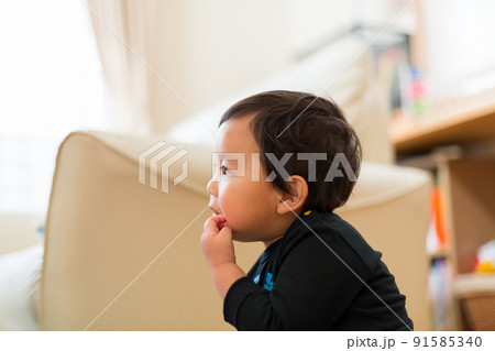 2 years old 91585340