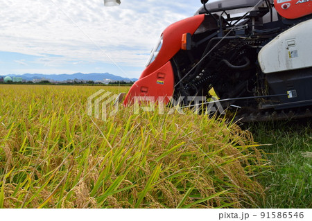 新米の収穫作業 コンバイン 91586546