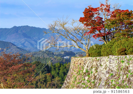 竹田市の岡城跡　紅葉 91586563