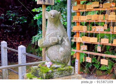 京都東山、大鵬神社の狛ねずみ 京都東山、大鵬神社の狛ねずみ 91587109