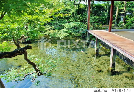 湧水庭園 四明荘 湧水庭園 四明荘 91587179