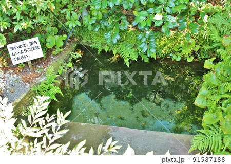 湧水庭園 四明荘の湧水 湧水庭園 四明荘の湧水 91587188